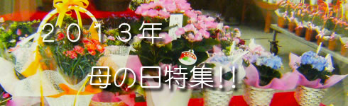 2011年母の日特集 2011年母の日特集