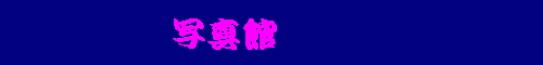ʐ^