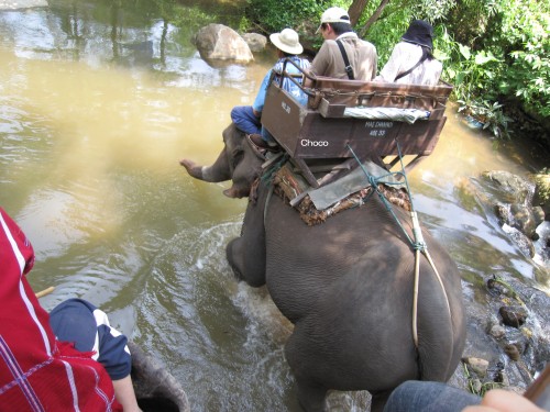 ElephantCamp