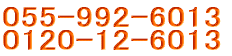 055-992-6013 0120-12-6013