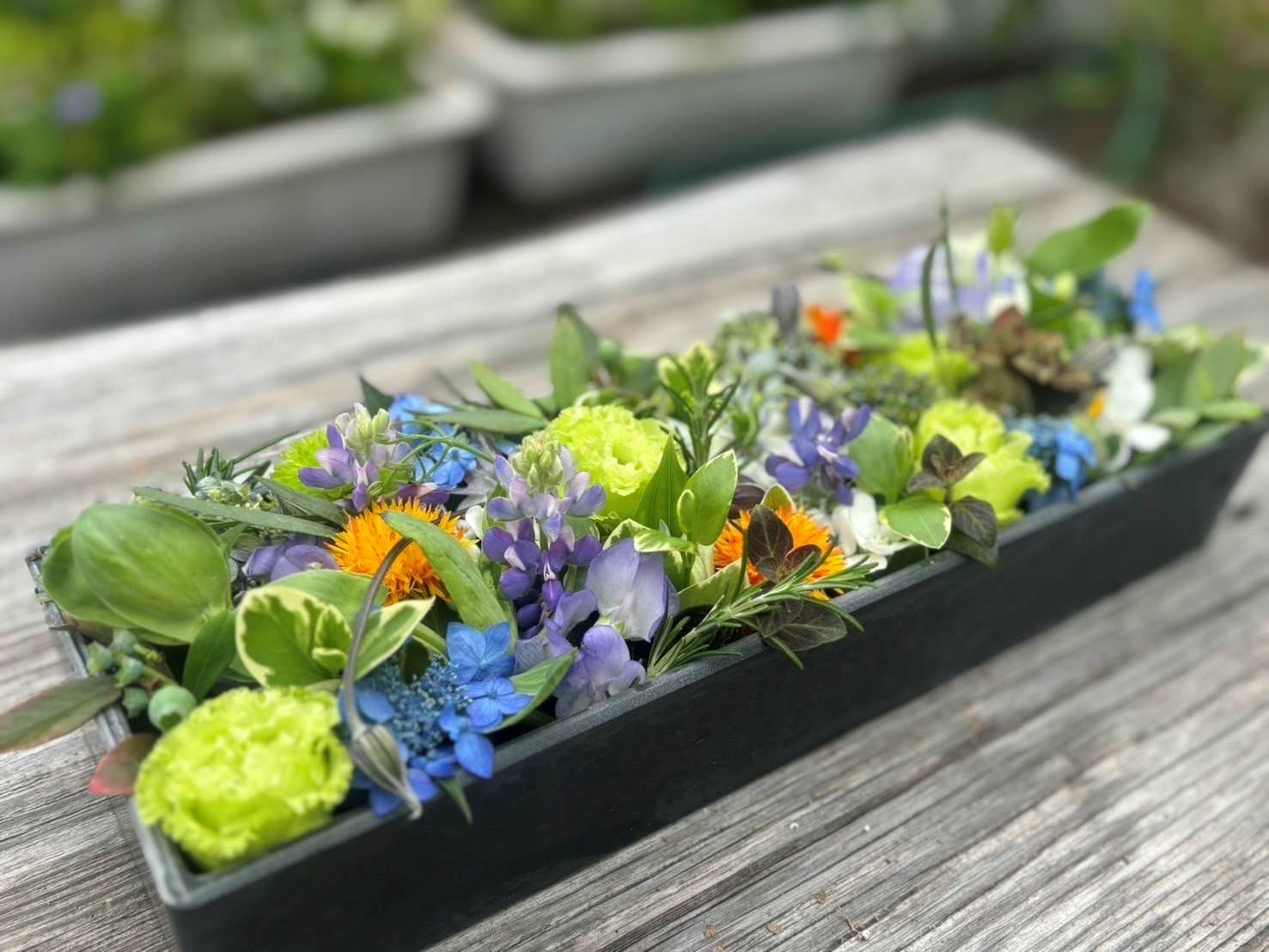 花の手仕事　寄せ植え