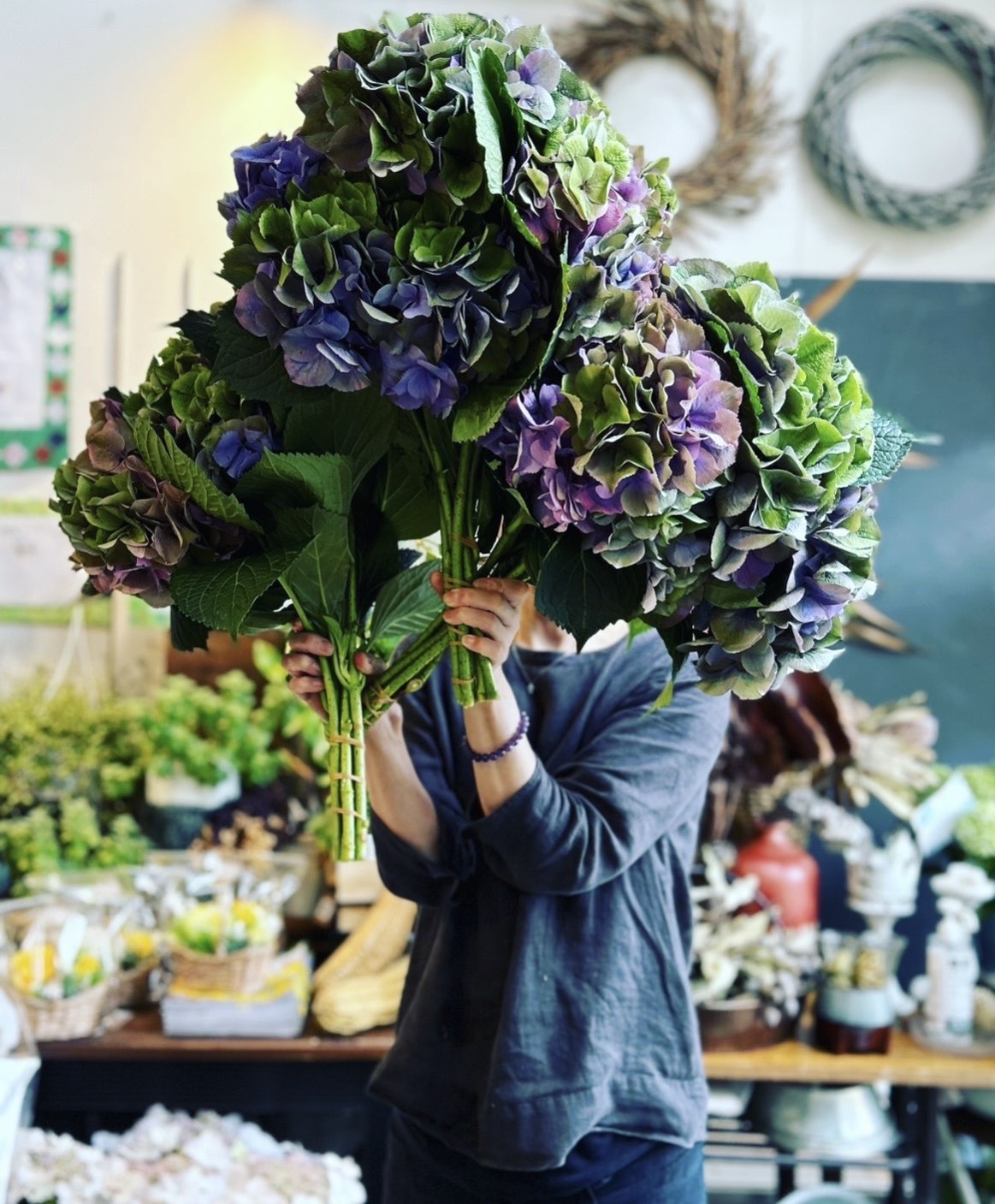 紫陽花
