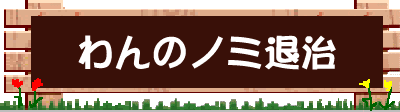�m�~�ގ�