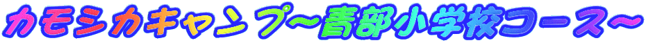 �J���V�J�L�����v�`�����w�Z�R�[�X�`