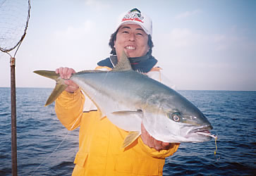 ヒラマサ