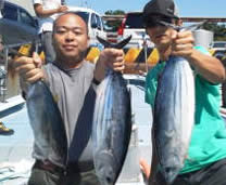 katuo 