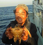 ウミガメ