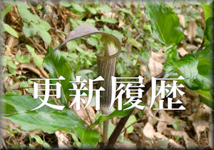 �X�V����