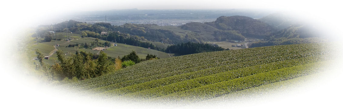 �����̕��i