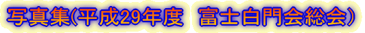 ʐ^WA29Nxxm