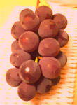 햳uhEAAA킽햳AAA