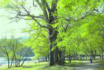 @胖l