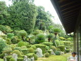 医王寺の庭