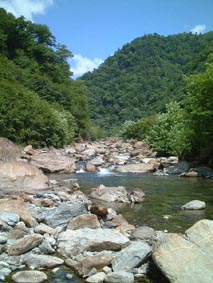 ��C�쉺����