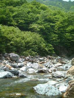 ����̗���Ɨ�