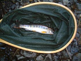 ����A�}�S