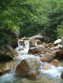 �R���C���i�̌k