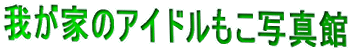 �䂪�Ƃ̃A�C�h�������ʐ^��