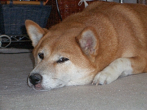 N