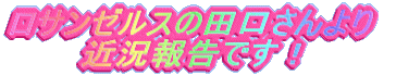 T[X̓c  ߋ񍐂łI
