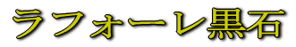 ���t�H�[������ 