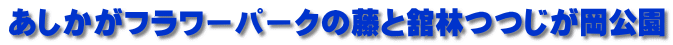 あしかがフラワーパークの藤と舘林つつじが岡公園