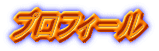 �v���t�B�[�� 